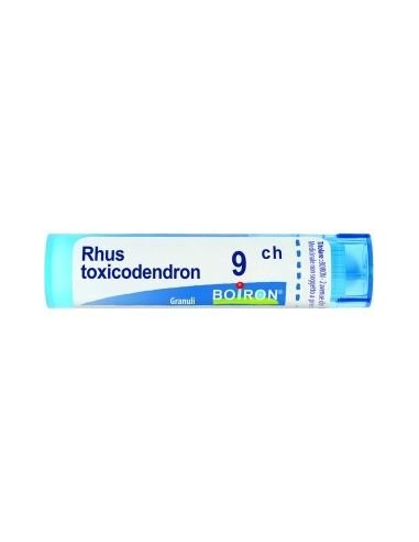 Rhus Toxicodendron 9CH 80 g - Boiron